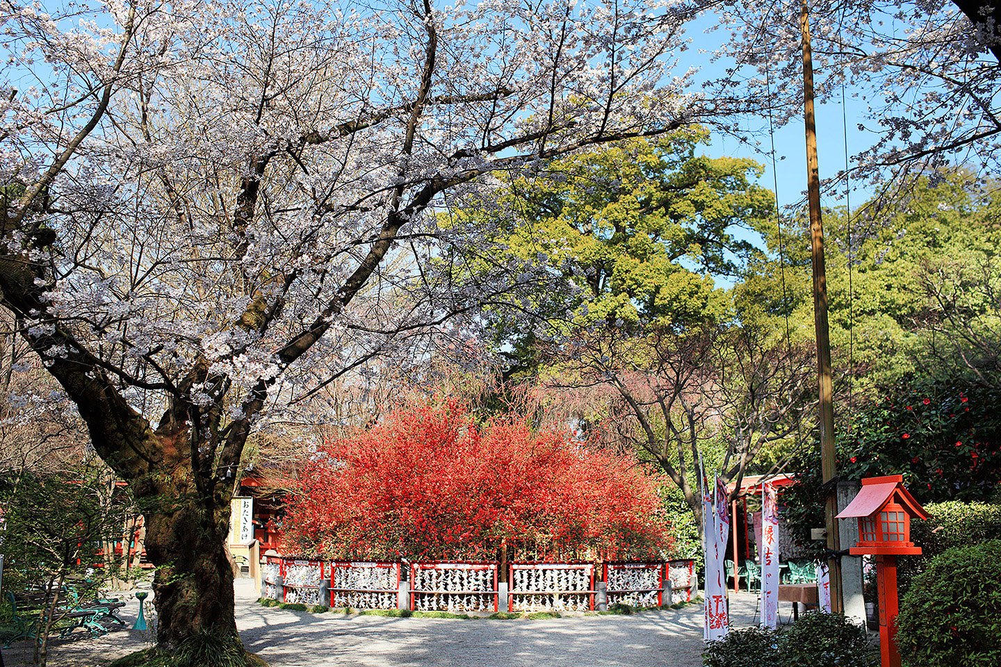 ⛩️ 관이나리 신사(칸무리이나리진자) 이미지 7